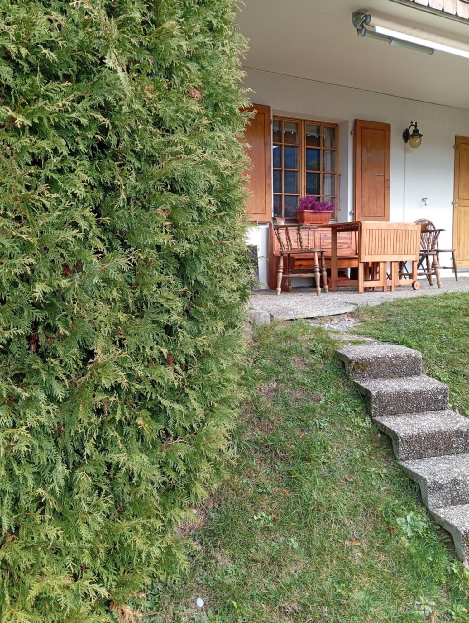 Cozy Apartment In The Heart Of The Alps 代堡 外观 照片