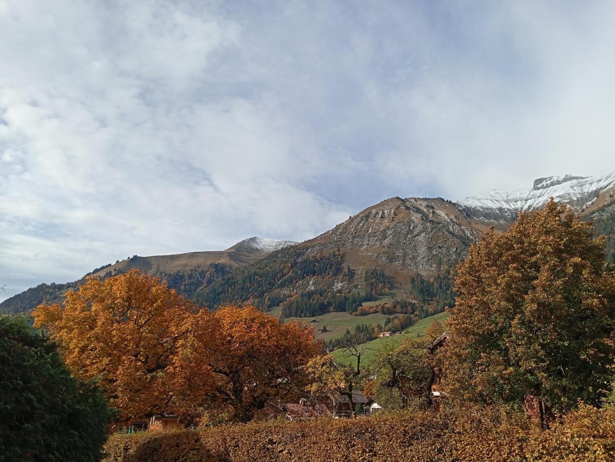Cozy Apartment In The Heart Of The Alps 代堡 客房 照片